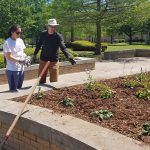 GreenServe 2018 Campus Planting