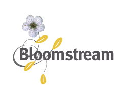 Bloomstream Flowers